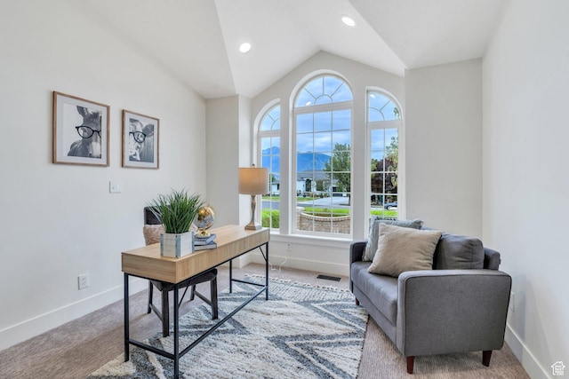 12060 S Lampton Dr W, Riverton, UT 84065 - office featuring plenty of natural light, lofted ceiling, carpet, and recessed lighting