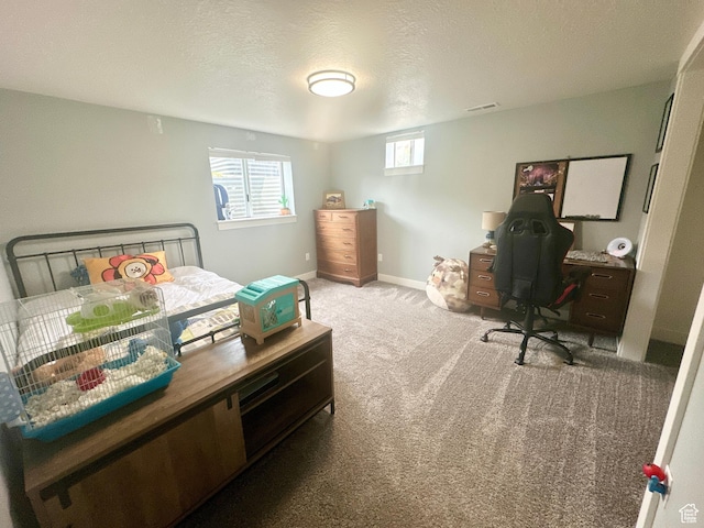 791 N 500 E, Spanish Fork, UT 84660 - photo 20