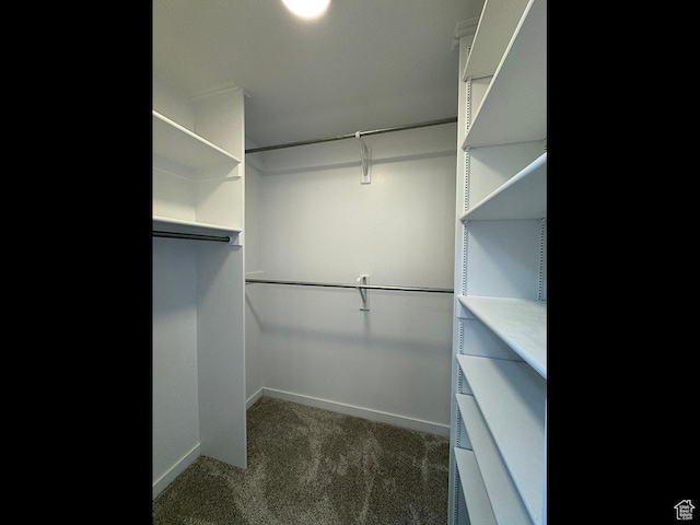 34840 N 10265 E, Fairview, UT 84629 - walk in closet with carpet