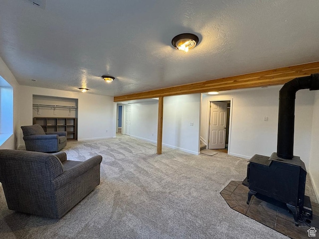 34840 N 10265 E, Fairview, UT 84629 - living room with a wood stove, carpet floors, and a textured ceiling