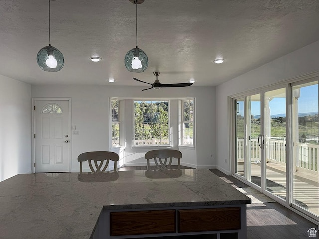 34840 N 10265 E, Fairview, UT 84629 - dining space with ceiling fan, a textured ceiling, and recessed lighting