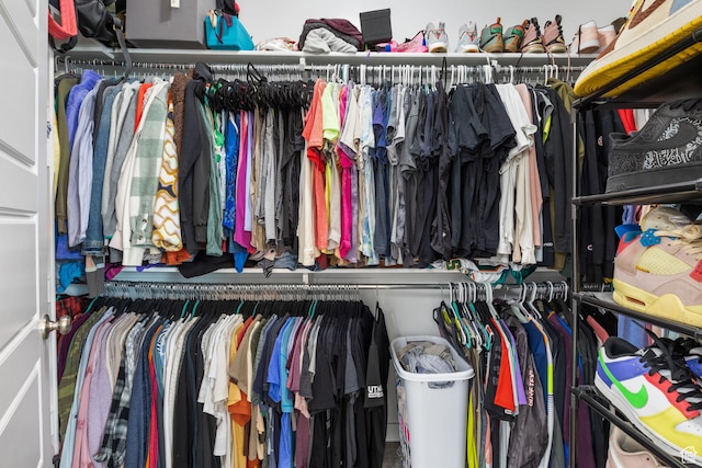 2319 N Penstemon Way, Lehi, UT 84043 - view of walk in closet
