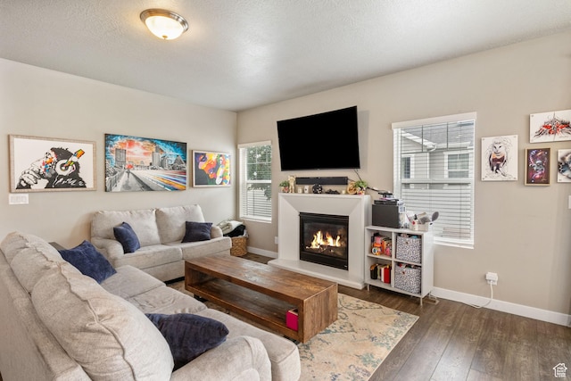 2319 N Penstemon Way, Lehi, UT 84043 - living room featuring dark wood-type flooring and a glass covered fireplace