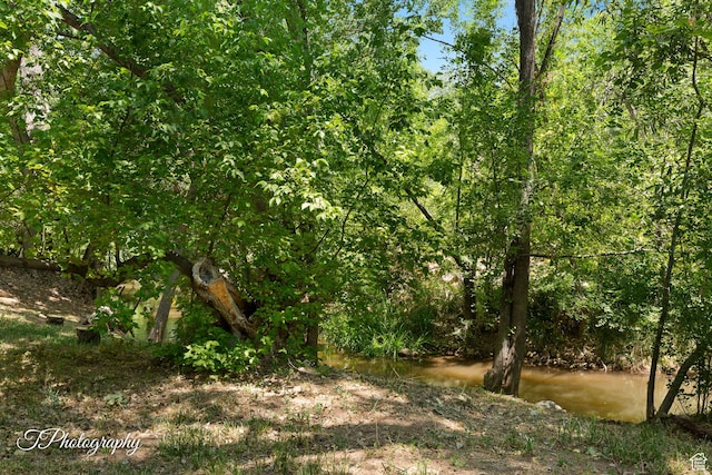503 S Cottonwood Dr, Brookside, UT 84782 - view of nature