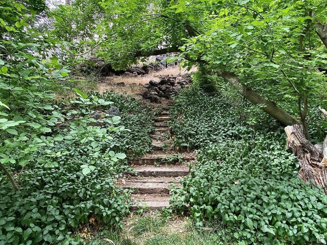 503 S Cottonwood Dr, Brookside, UT 84782 - view of nature