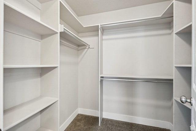 144 W 3430 N, Lehi, UT 84043 - walk in closet with dark colored carpet