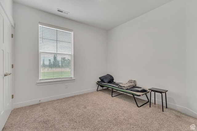 1382 N 3650 W Unit V101, Lehi, UT 84043 - sitting room featuring carpet