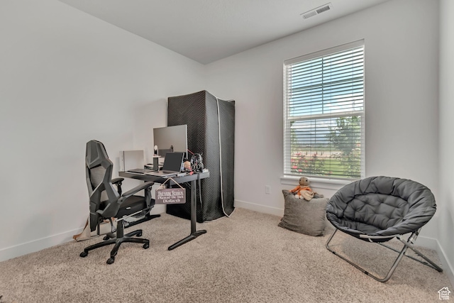 1382 N 3650 W Unit V101, Lehi, UT 84043 - office area with carpet floors