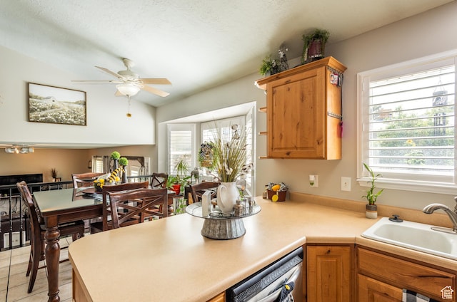 576 Mayo Dr N, Tooele, UT 84074 - kitchen with dishwashing machine, ceiling fan, a peninsula, healthy amount of natural light, and lofted ceiling