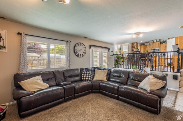 576 Mayo Dr N, Tooele, UT 84074 - living area with carpet flooring
