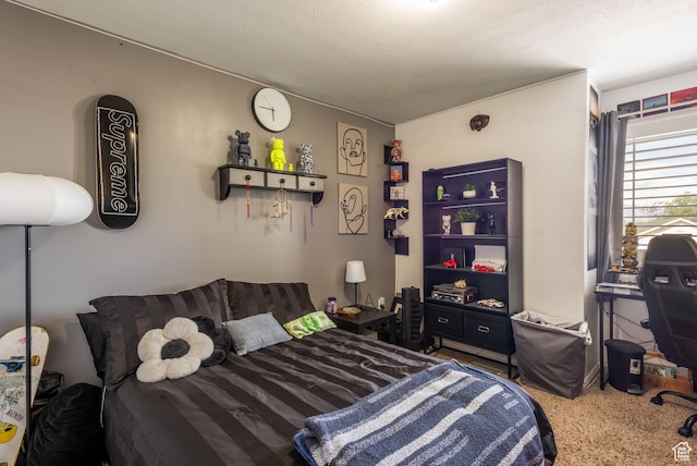 576 Mayo Dr N, Tooele, UT 84074 - view of carpeted bedroom
