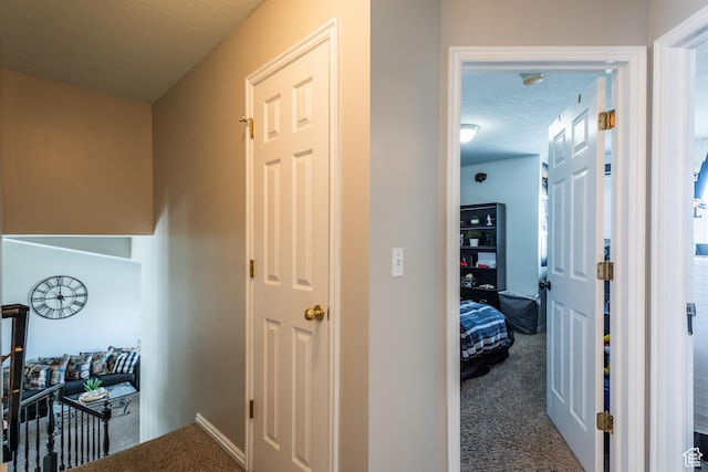 576 Mayo Dr N, Tooele, UT 84074 - corridor with carpet floors and baseboards
