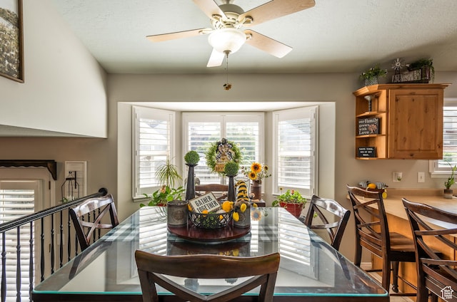 576 Mayo Dr N, Tooele, UT 84074 - dining space featuring a ceiling fan and a textured ceiling