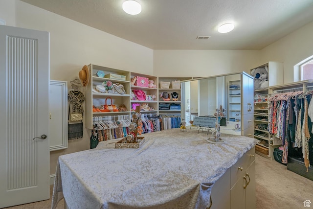 16 N Lions Head Cir, Washington, UT 84780 - spacious closet with light colored carpet