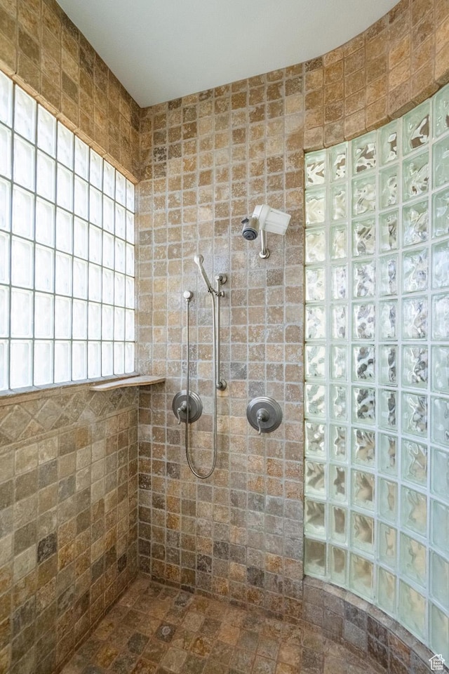 16 N Lions Head Cir, Washington, UT 84780 - bathroom featuring tiled shower