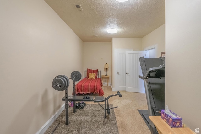 16 N Lions Head Cir, Washington, UT 84780 - workout room with a textured ceiling and carpet flooring