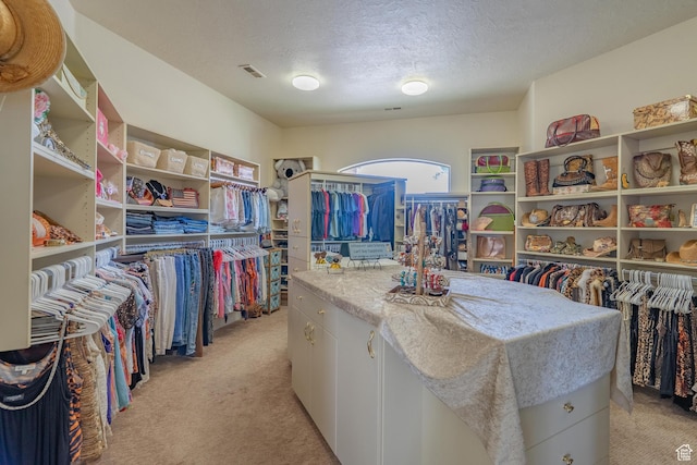 16 N Lions Head Cir, Washington, UT 84780 - walk in closet featuring light carpet