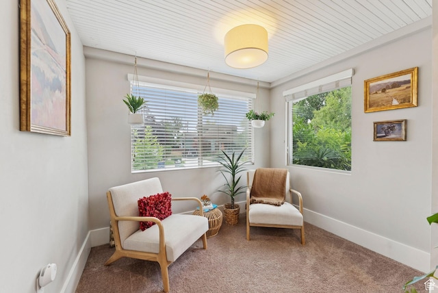 1873 S Lincoln St E, Salt Lake City, UT 84105 - living area featuring carpet