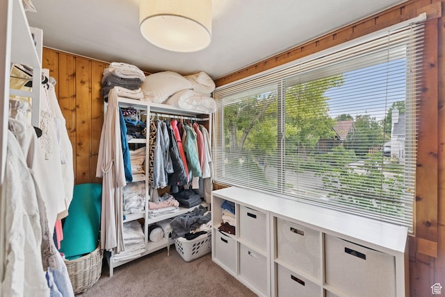 1873 S Lincoln St E, Salt Lake City, UT 84105 - walk in closet with light colored carpet