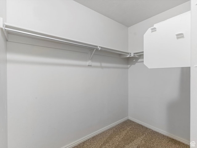 2296 S 2040 W, Woods Cross, UT 84087 - walk in closet featuring carpet flooring