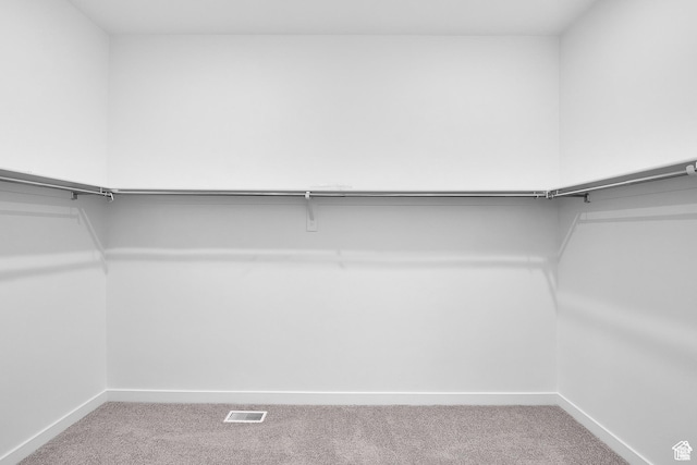 1147 S 3170 E Unit 207, Spanish Fork, UT 84660 - walk in closet with carpet flooring