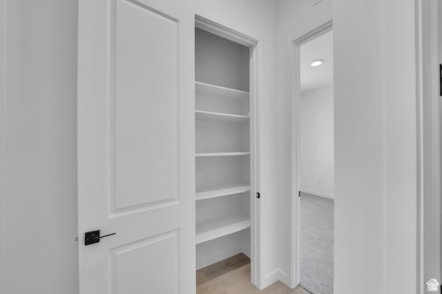 1147 S 3170 E Unit 207, Spanish Fork, UT 84660 - view of closet