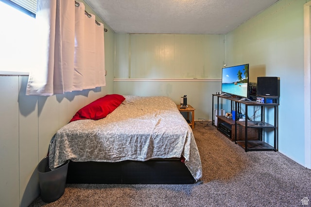 308 W 1050 N, Logan, UT 84321 - bedroom with carpet flooring and a textured ceiling