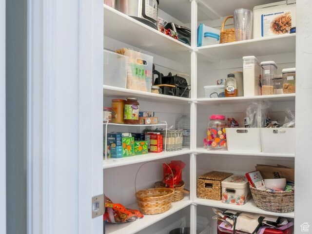 588 S 350 E, Pleasant Grove, UT 84062 - view of pantry