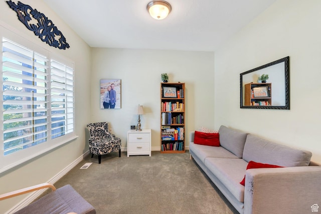 588 S 350 E, Pleasant Grove, UT 84062 - living area with carpet flooring and baseboards