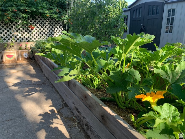 2425 Van Buren Ave, Ogden, UT 84401 - exterior view of a vegetable garden