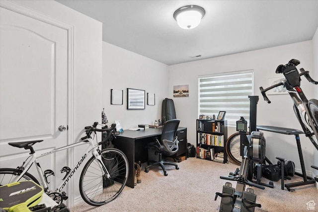 656 W 1310 N, Lehi, UT 84043 - office area with carpet