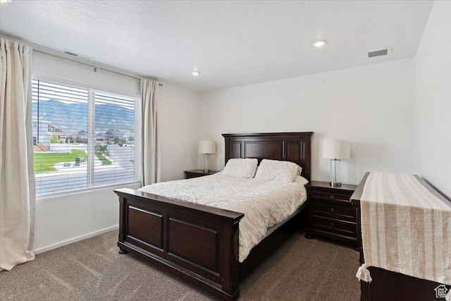 1826 N Blue Iris Ave, Tooele, UT 84074 - bedroom with dark colored carpet and recessed lighting