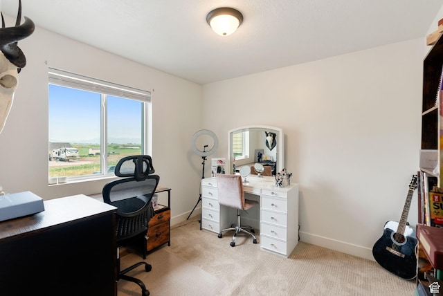 87 E Legacy Dr, Franklin, ID 83237 - office area featuring light carpet and baseboards