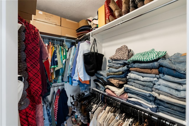 87 E Legacy Dr, Franklin, ID 83237 - view of spacious closet