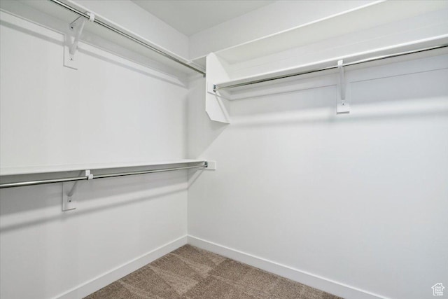 723 N Plainsman Dr Unit 109, Spanish Fork, UT 84660 - spacious closet with carpet floors