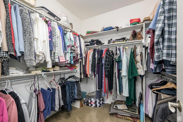 10453 N Canterbury Pl, Highland, UT 84003 - walk in closet featuring carpet flooring