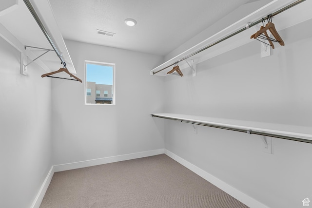 6957 W Farnsworth Peak Dr S Unit 314, West Jordan, UT 84081 - spacious closet featuring light colored carpet