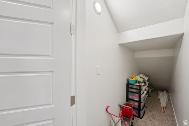 1968 W Silver Leaf Dr S, Mapleton, UT 84664 - view of storage area
