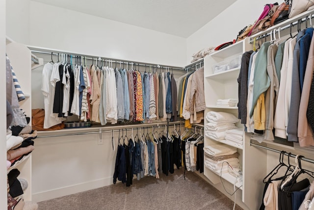 1968 W Silver Leaf Dr S, Mapleton, UT 84664 - walk in closet featuring carpet floors