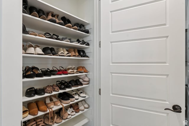 1968 W Silver Leaf Dr S, Mapleton, UT 84664 - view of closet