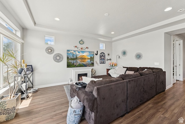 979 N Cold Creek Way, Layton, UT 84041 - living room with a raised ceiling, wood finished floors, recessed lighting, and a warm lit fireplace
