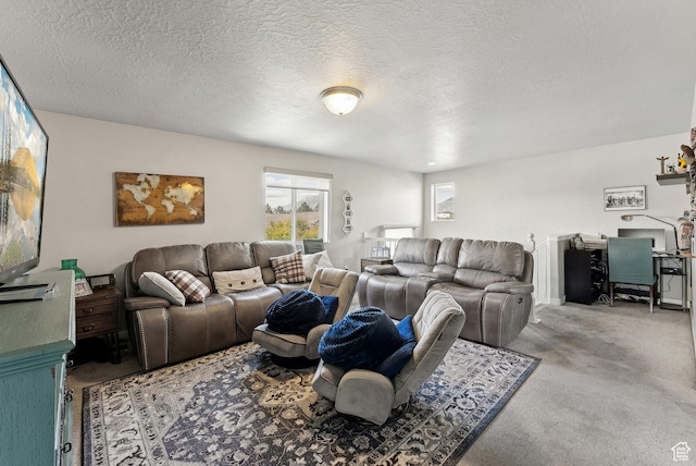 979 N Cold Creek Way, Layton, UT 84041 - living room featuring carpet floors and a textured ceiling