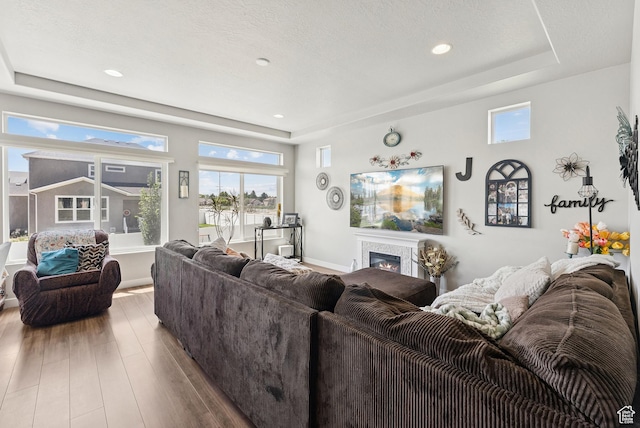 979 N Cold Creek Way, Layton, UT 84041 - living room with a raised ceiling, wood finished floors, a glass covered fireplace, and recessed lighting
