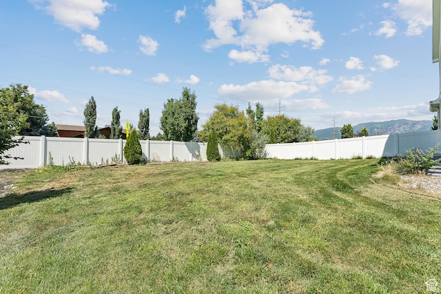 979 N Cold Creek Way, Layton, UT 84041 - view of yard