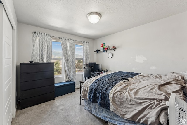 979 N Cold Creek Way, Layton, UT 84041 - bedroom featuring carpet floors and a textured ceiling