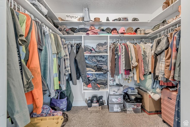 342 W Royal Land Dr, Santaquin, UT 84655 - walk in closet featuring carpet flooring