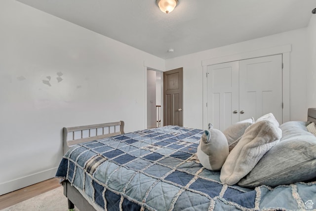 342 W Royal Land Dr, Santaquin, UT 84655 - bedroom with wood finished floors and a closet
