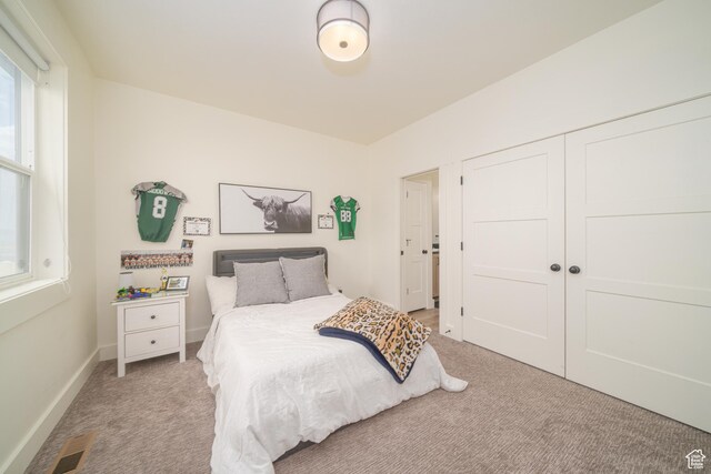 142 N 1100 E, Hyde Park, UT 84318 - bedroom featuring light colored carpet and a closet