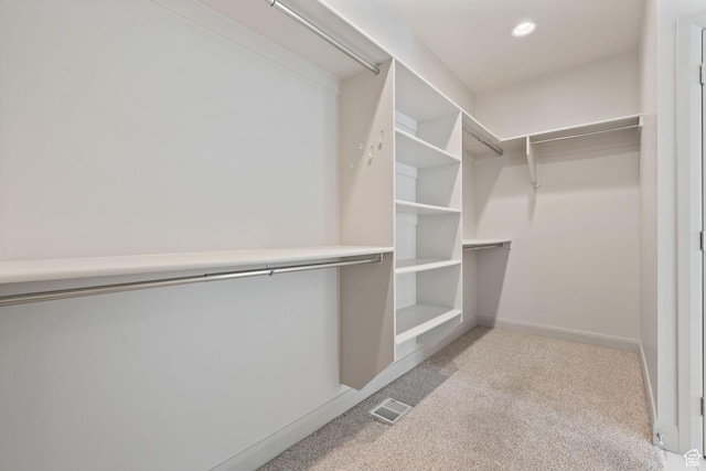2628 E 40 N Unit 9, Spanish Fork, UT 84660 - spacious closet with carpet
