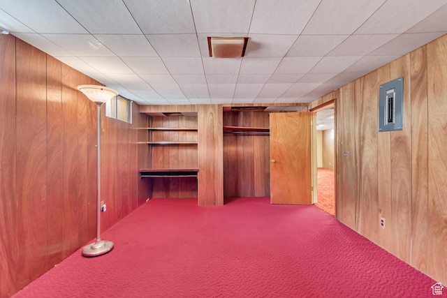 109 W 900 S, Bountiful, UT 84010 - unfurnished bedroom with carpet flooring, wood walls, electric panel, and a closet
